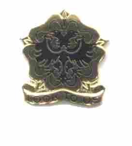 US Army 413th SPN BN Unit Crest - Saunders Military Insignia