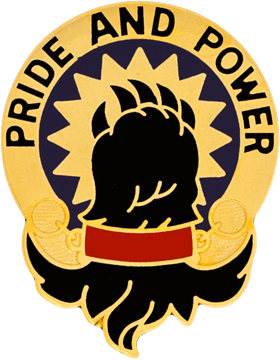 US Army 49th Military Police Brigade Unit Crest