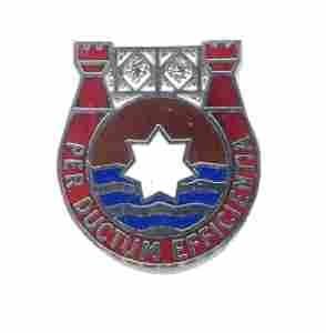US Army 563rd Engineer Battalion Unit Crest