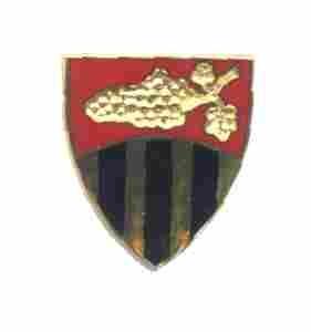 US Army 76th Combat Support Training Regiment, Unit Crest