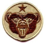 US Army Alaska desert subdued Patch - Saunders Military Insignia