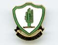 US Army Arizona National Guard Unit Crest - Saunders Military Insignia