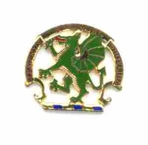 US Army Chemical School Unit Crest - Saunders Military Insignia