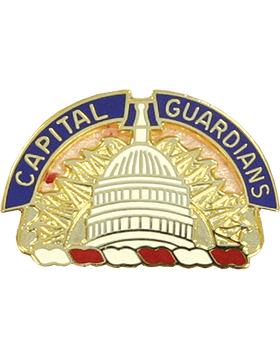 US Army DC National Guard Unit Crest