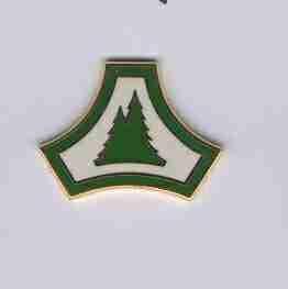 US Army Fort McCoy WI Unit Crest - Saunders Military Insignia