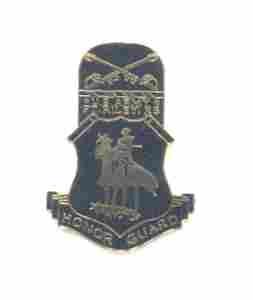 US Army Fort Riley Honor Guard Unit Crest