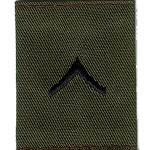 US Army Private gortex rank isnignia