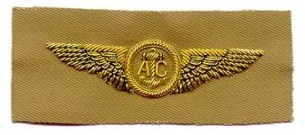 US Navy Aircrew Wing in tan - Saunders Military Insignia