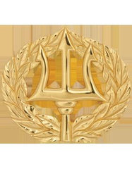 US Navy Command Ashore Badge - Saunders Military Insignia