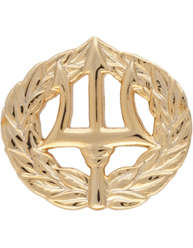 US Navy Command Ashore miniature badge