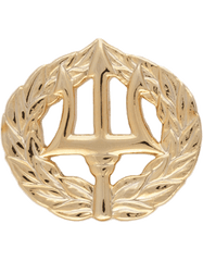 US Navy Command Ashore miniature badge - Saunders Military Insignia