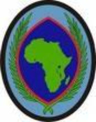 USA Africa Command Color Patch Full Color Patch - Saunders Military Insignia