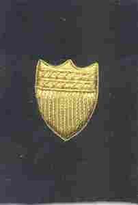 USCG Sleeve Device Bullion, gold on black felt - Saunders Military Insignia