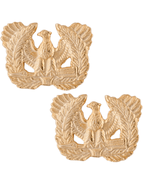 Warrant Officer Army branch of service badge - Saunders Military Insignia