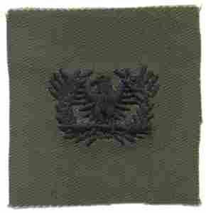 Warrant Officer Army Branch of Service insignia