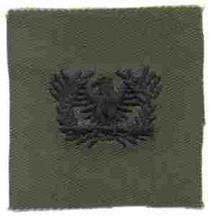 Warrant Officer Army Branch of Service insignia - Saunders Military Insignia