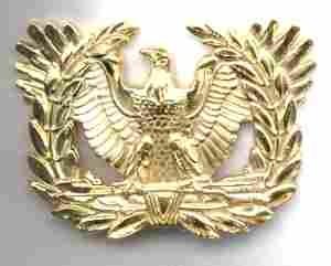 Warrant Officers Cap Device